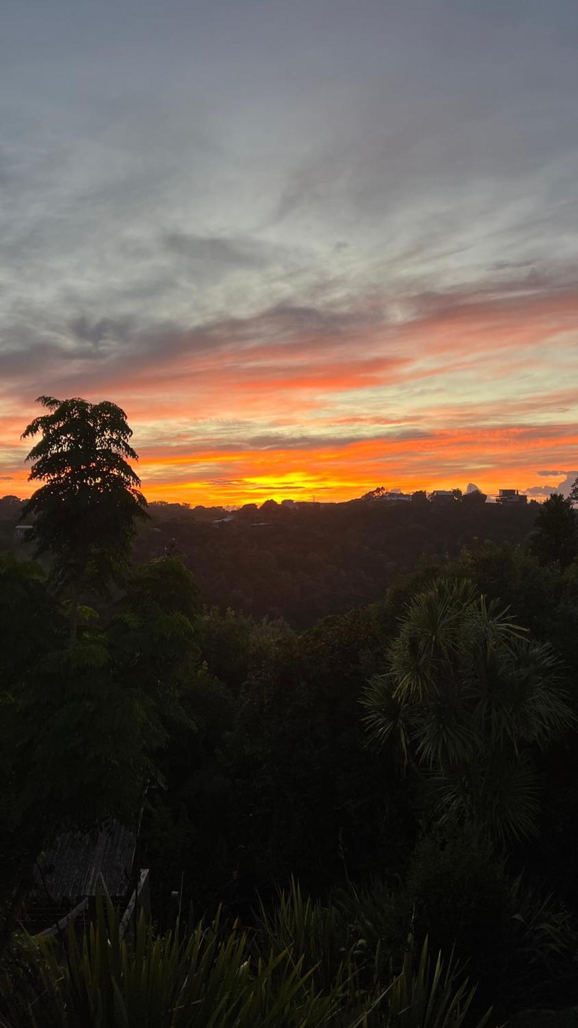 Tutukaka Sunrise Διαμέρισμα Εξωτερικό φωτογραφία